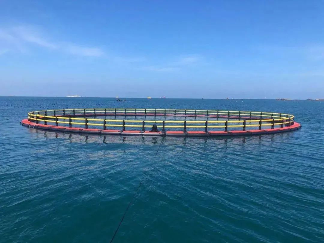 1655946691107166.jpg 25.jpg