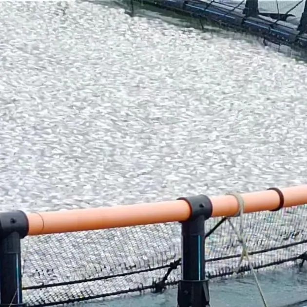 1660804125829566.jpg 3.jpg