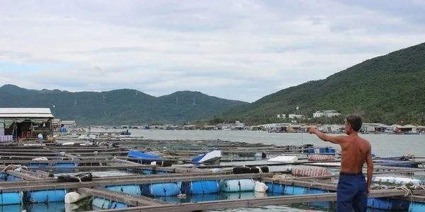 1660804159152805.jpg 5.jpg