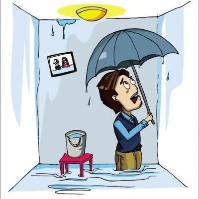 1684141527538327.jpg 3.jpg