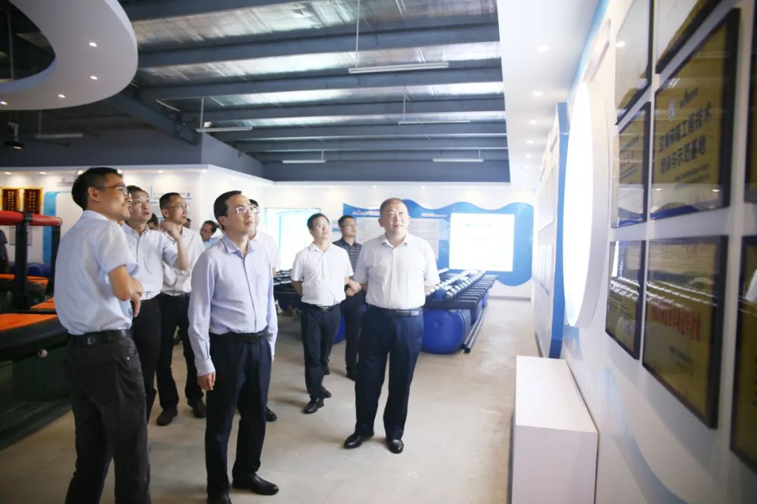 1718244566996874.jpg 2.jpg