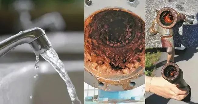 1727599615559413.jpg 3.jpg