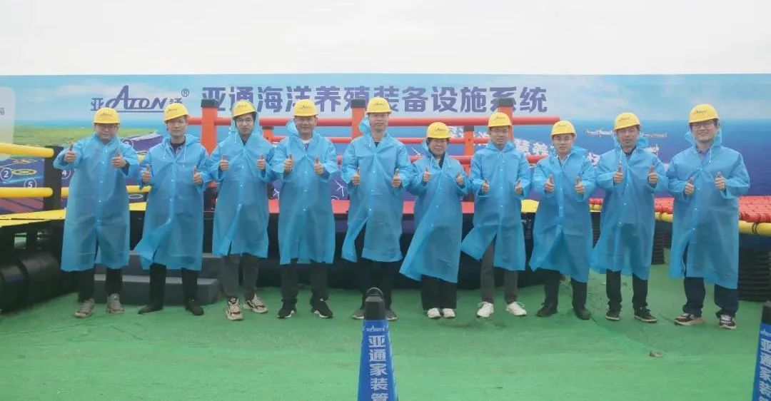 1736234080390728.jpg 4.jpg